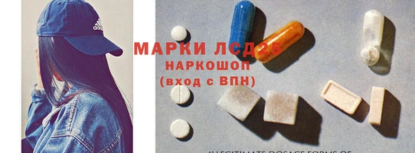 spice Бородино