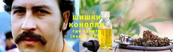 spice Бородино