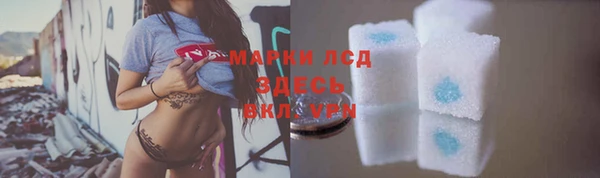 spice Бородино