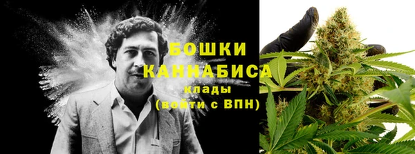 прущие крисы Бронницы