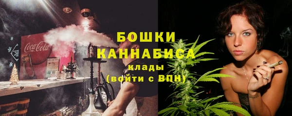 spice Бородино