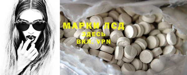 spice Бородино